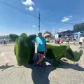 Гость из Агидели, мне 63, познакомлюсь для общения